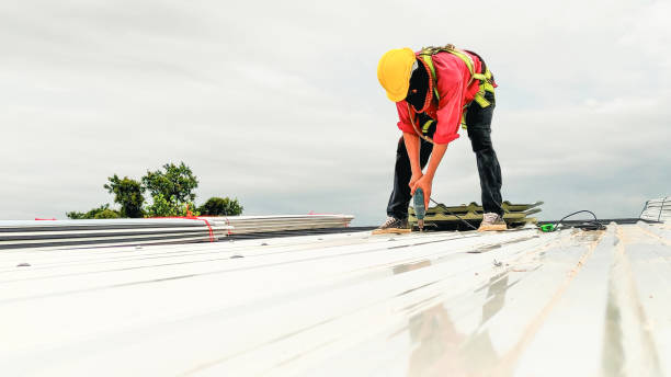 Best Sheet Metal Roofing  in Seeley, CA