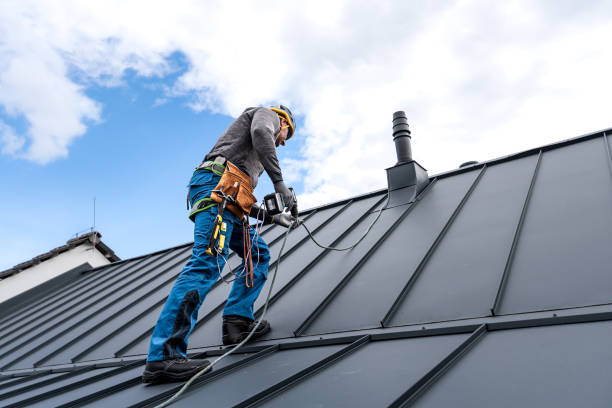 Best Roof Maintenance and Cleaning  in Seeley, CA